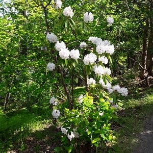 Meet your Posher, Evan